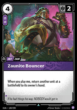 Zaunite Bouncer